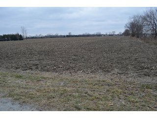 Property photo 48 - 175 Acres Offered in 5 Tracts - Tontogany, Ohio Farm Land Auction